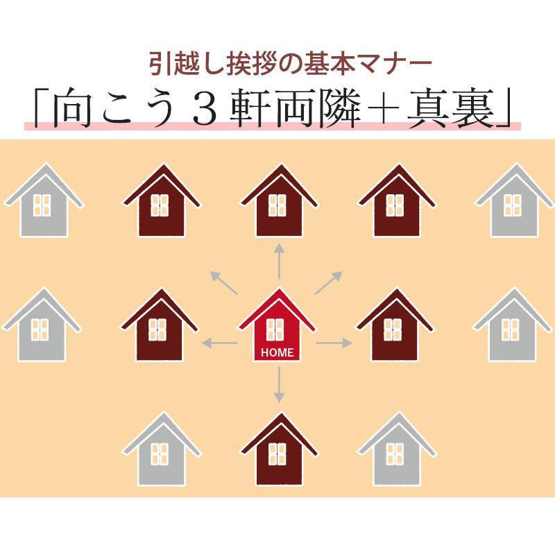 引っ越し 挨拶 品物 お米 引越し用おいしいご挨拶 2合 300g 条件付送料無料 令和5年産  新潟米 新潟産コシヒカリ 粗品 引っ越し 引越 お礼 プチギフト お返し