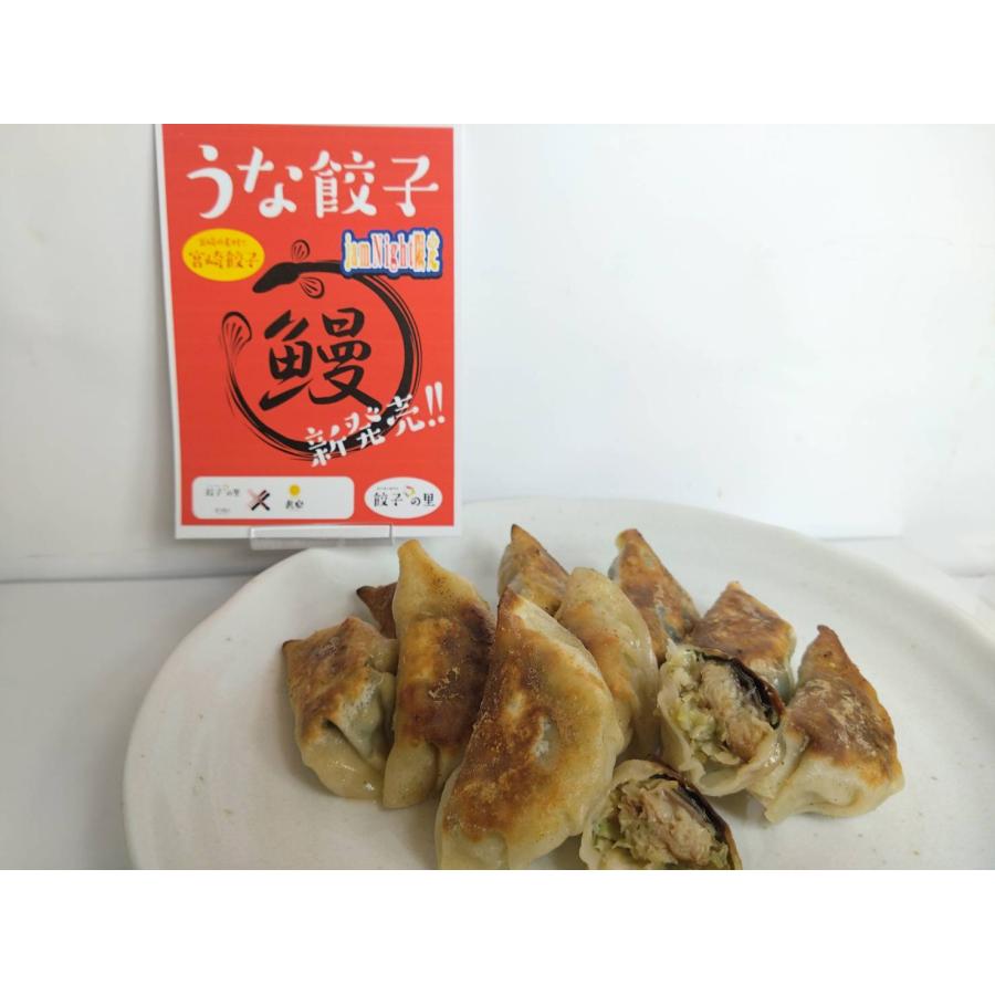 宮崎餃子　うな餃子(宮崎うなぎの入った餃子)　-10個入-