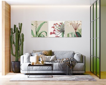 無框畫(20*20cm) |花的物語 畢業 禮物 畢業季