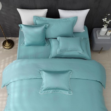 雙人兩用被套加大床包組/ SUPIMA匹馬棉 / 500織 / 黛青 [鴻宇] 台灣製 - 2321