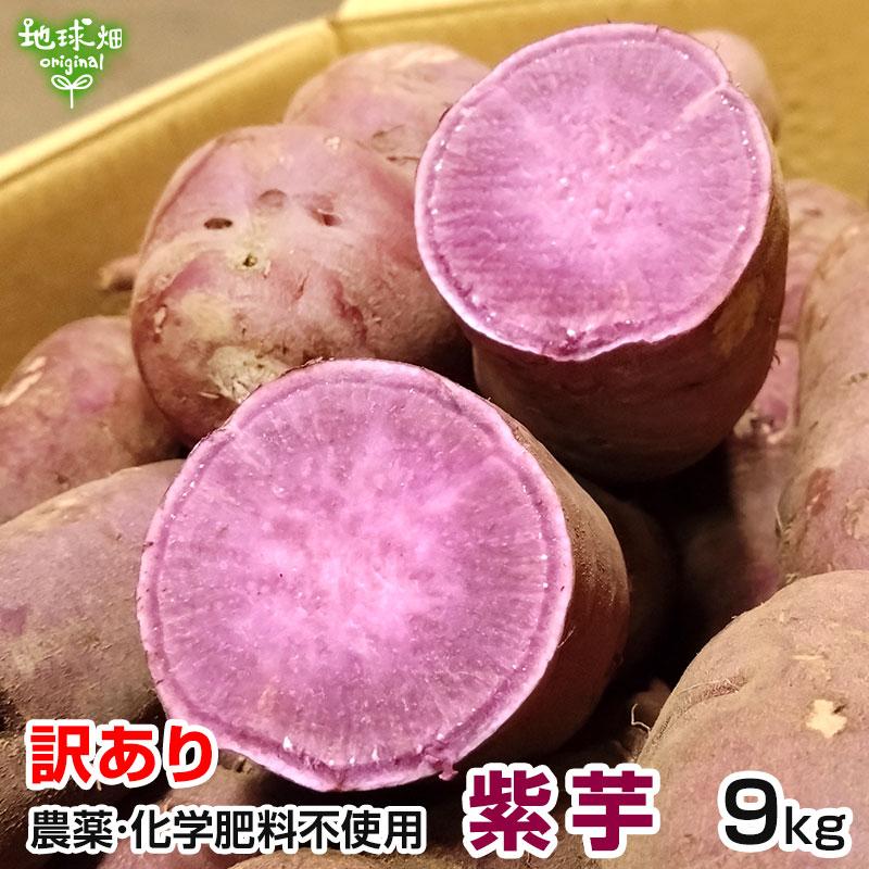 訳あり 紫芋 9kg 農薬・化学肥料不使用 鹿児島県産 訳アリ B品 土付き 紫いも パープルスイートロード むらさきいも さつまいも 発送期間11〜12月