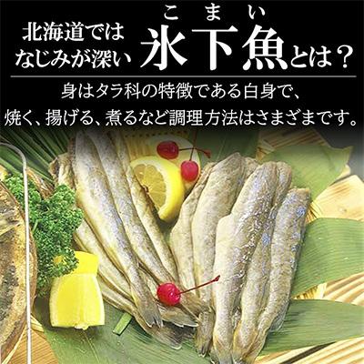 ふるさと納税 北見市 北海道産 生干しこまい(1kg×2箱セット)