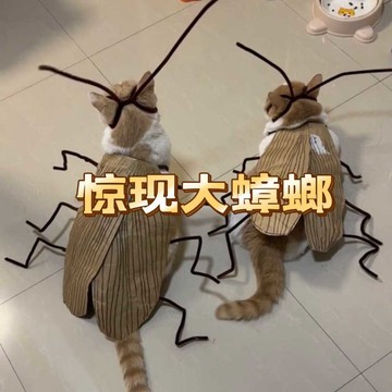 免運 台現 成品 材料包🚀貓咪蟑螂服 蟑螂裝🚀寵物蟑螂服 蟑螂 貓 寵物 搞怪cos螂的诱惑 手工DIY 網紅装扮道具