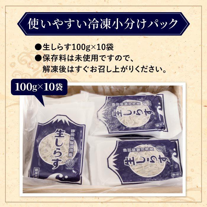 静岡県産 生しらす1kg（100g×10） しらす シラス 生シラス 冷凍 用宗港 駿河湾 静岡 静岡県 生しらす丼 メガ盛り 業務用