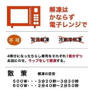 ふるさと納税 土佐寿司　散策（ヴィーガン仕様） 高知県香美市