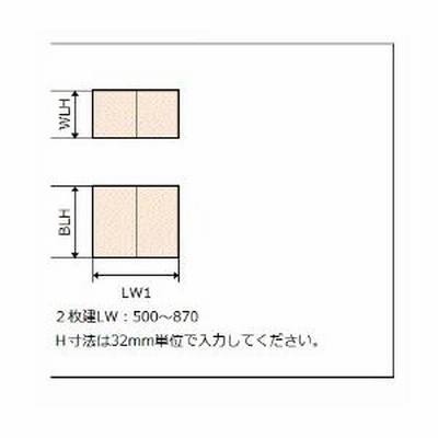 特注サイズ 玄関収納 ラシッサD ヴィンティア カウンター型 2枚扉 台輪