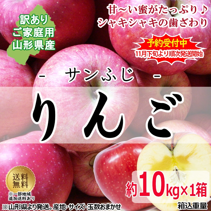 山形県産 リンゴ サンふじ 玉数 サイズ おまかせ 約10kg （訳ありご家庭用） 産地直送