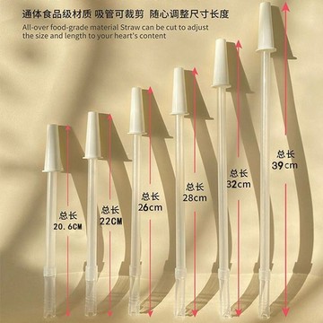 💥臺灣有貨🌈免運!💥太空吸管杯配件大容量吸管食品級塑料運動水壼 耐高溫配件鉅惠