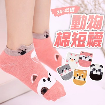 現貨 動物圖案短襪 踝襪 短襪女 女生襪子 襪子女 可愛短襪 潮流百搭 女襪 棉襪 襪子【D181】