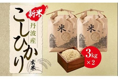 丹波産こしひかり玄米《令和4年度産》3㎏×2 Q003