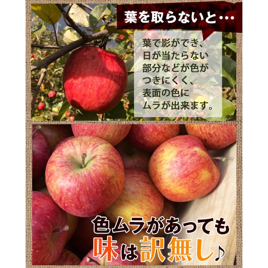 同梱専用 訳あり 葉取らずりんご 青森産 色むら有り サンふじ約2kg(5から8玉前後) 卵と同梱で送料無料