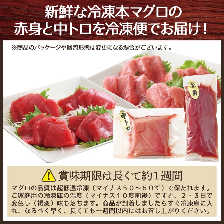 お歳暮 本マグロ 中トロ・赤身セット　各100g 合計200ｇ 刺身 鮪 ブロック 解凍レシピ付でお届け 冷凍