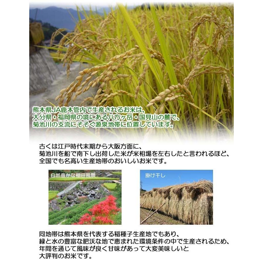 ポイント消化 お試し お米 熊本県産 森のくまさん 4年産 白米 1,050g 送料無料 （メール便）