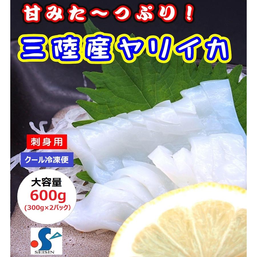 イカ 刺身 ヤリイカ 600g 国産 やりいか お取り寄せ グルメ 烏賊