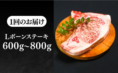 極上 壱岐牛 A5ランク Lボーン ステーキ 約 600 〜 800g ×  30日間熟成 雌 《 壱岐市 》 ポーターハウス [JER020] 804000 804000円