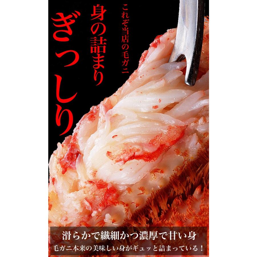 毛ガニ 特大 570g前後×2尾 プレミアム北海道産(毛蟹 毛がに kegani けがに かに カニ味噌 蟹味噌)