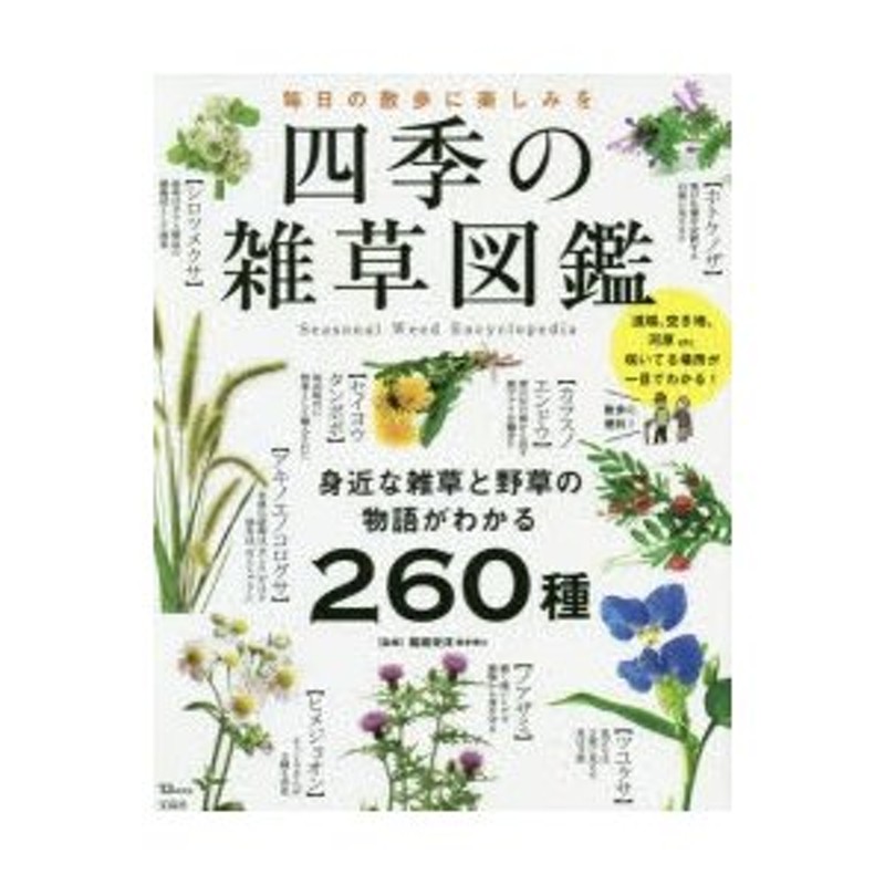 四季の雑草図鑑 毎日の散歩に楽しみを 身近な雑草と野草の物語がわかる260種 稲垣栄洋 監修 通販 Lineポイント最大0 5 Get Lineショッピング