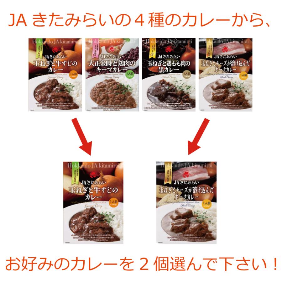 選べる！ ＪＡきたみらい レトルトカレー　２個セット　きたみらい玉葱使用　JAきたみらい　メール便送料無料