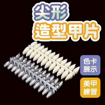 尖形甲片240個 色卡甲片 作品甲片 美甲色卡