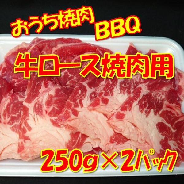 牛肉 焼肉 焼き肉 ロース 牛ロース焼肉用500ｇ（250ｇｘ2）