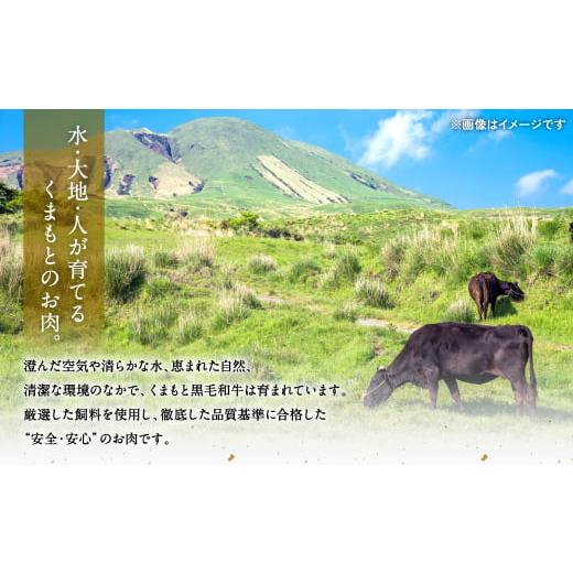 ふるさと納税 熊本県 八代市 極和王シリーズ くまもと黒毛和牛 焼肉ロース 500g 熊本県産 牛肉