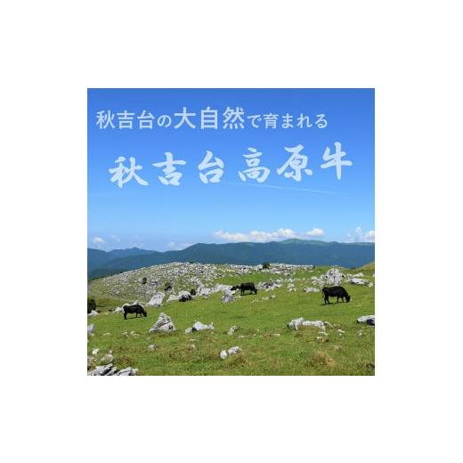 ふるさと納税 山口県 美祢市 数量限定 秋吉台高原牛 カタ／モモ 合計700g (約700g×1)