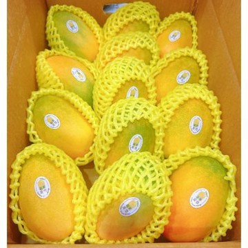 台東 LV級 夏雪芒果 10斤原裝箱｜夏雪芒果禮盒