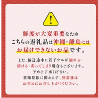 極上！北海道産キタムラサキウニ折詰100g ※2024年6月下旬よりお届け