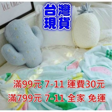 台灣現貨 軟綿綿草莓仙人掌抱枕家居靠墊抱枕空調毯二合一 聖誕禮物 交換禮物