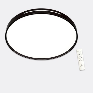 65W遙控吸頂燈｜L11-A2315N-65W