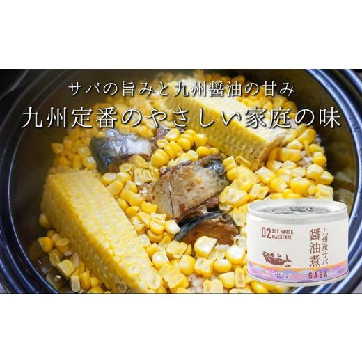 ふるさと納税 長崎県 松浦市 さば缶「旬ほとぎ」選べる12缶×3箱 さば サバ 鯖 缶詰 サバ缶 さば缶 鯖缶 水煮 醤…