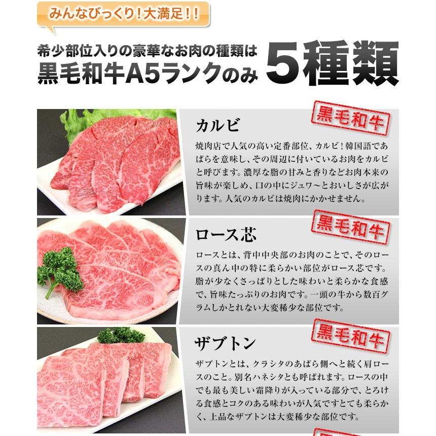 焼肉 セット 国産 国産牛 バーベキュー 肉 黒毛和牛 カルビ bbq 贅沢セット 1.5kg 送料無料