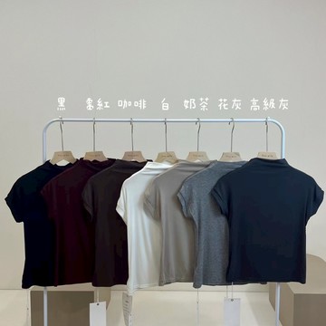 【太妮絲TT02】現貨 高級感 小立領短袖上衣 超彈力 打底上衣 素面打底衫 微高領上衣