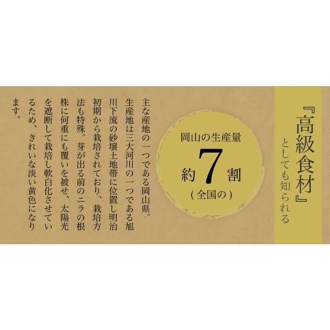 岡山県特産 超高級食材 黄ニラ 秀品 約500g(約50g×10束) にら 韮