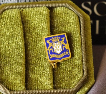 古董法國金色地區紋章小別針胸針  B1842