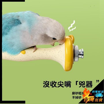 【台灣出貨】鸚鵡站棒 鸚鵡站桿 魔爪站棒 陶瓷鳥站架 小鳥攀爬架子 牡丹玩耍磨喙站架 玄鳳站棒 鳥籠配件