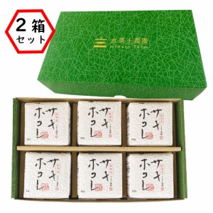 新米 令和5年産 秋田県産米 サキホコレ 300g (2合) 6個入り ×2箱セット お歳暮 内祝い ギフト 贈り物 プレゼント