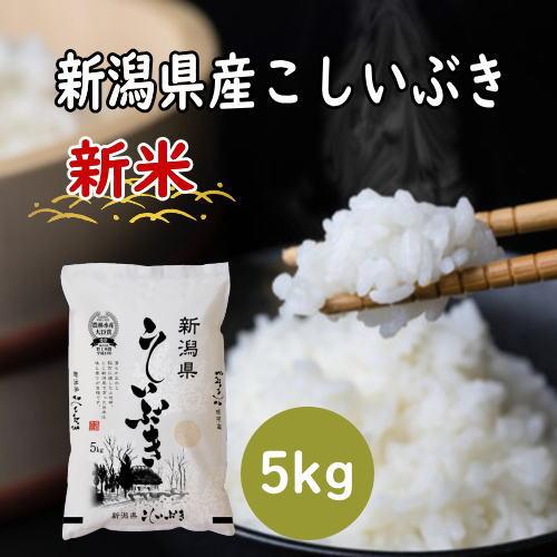 新米 送料無料 令和５年産 新潟産こしいぶき 5kg×1袋 おこめ 精米 新潟