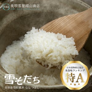 雪そだち米 (美唄市産) 300g 2合 × 5個セット (計10合) 送料無料  北海道 美唄市 びばい 精米 米 白米 ななつぼし 雪倉庫 お土産 贈り物