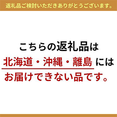 フルーツ 2024年 先行予約 晴れの国 岡山 の フルーツ 定期便 6回コース 桃 ぶどう 梨 岡山県産 国産 フルーツ 果物 ギフト