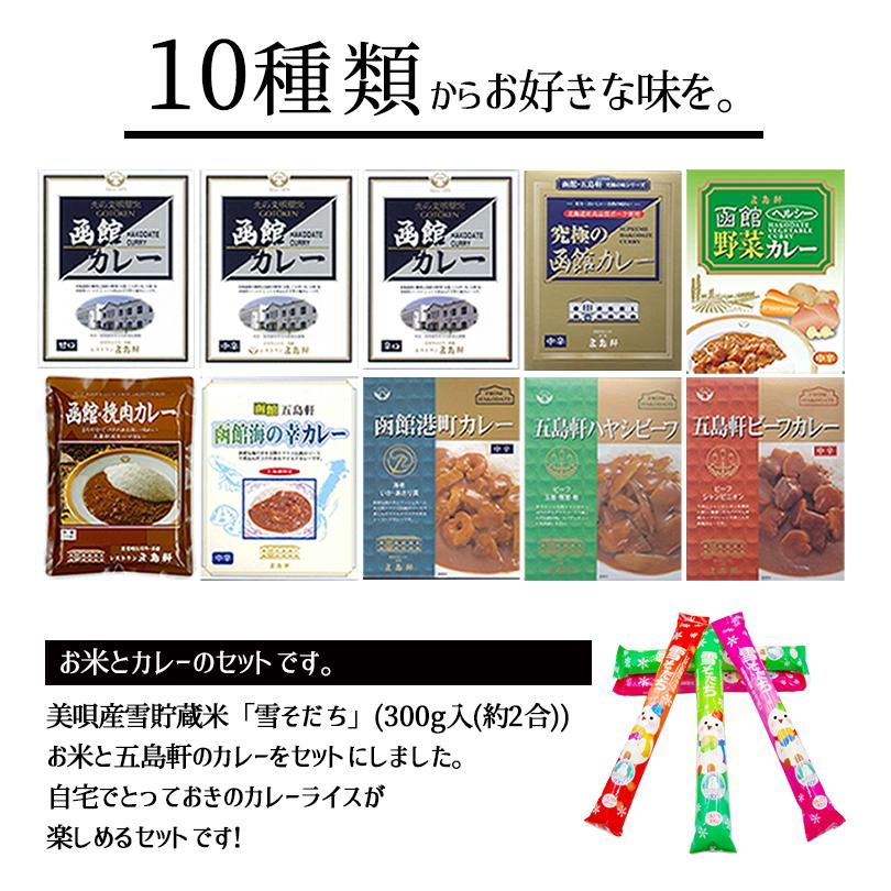 北海道カレーライスセット カレールー選べる2箱セット 米2合 1本 送料無料 ななつぼし 五島軒 函館 カレー ルー レトルト 雪そだち 食べ比べ 詰め合わせ ギフト