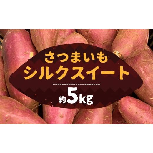 ふるさと納税 熊本県 益城町 さつまいも シルクスイート 5kg さつま芋