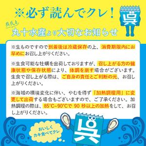 ふるさと納税 丸十水産 広島ブランド牡蠣 殻付き かき小町 約1.5kg  (8〜10個) 広島県呉市