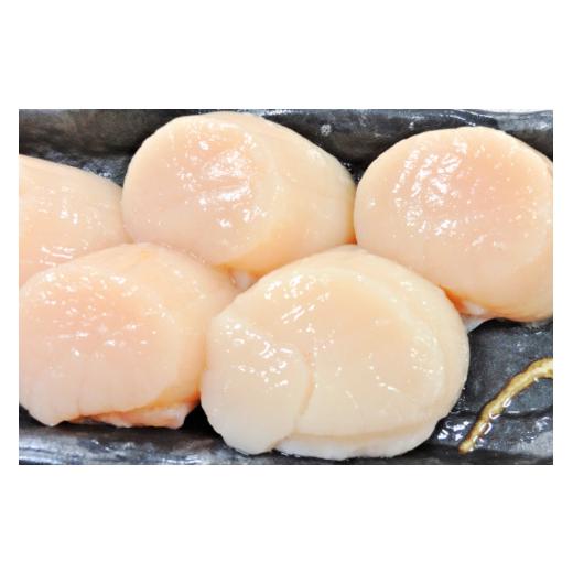 ふるさと納税 宮城県 気仙沼市 大粒 ホタテ貝柱 生食可 500g [かみたいら 宮城県 気仙沼市 20562168] ホタテ 帆立 ほたて 貝柱 大 大玉 小分け 刺身 生刺身 冷…