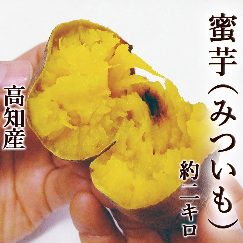 さつまいも 蜜芋 焼き芋専用 安納芋品種 2kg M〜Lサイズ 高知産 送料無料 焼芋専用 高糖度 甘い ネットリ サツマイモ 安納芋 ミエルスイート