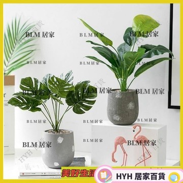 HYH  🌴仿真植物盆景北歐小清新龜背葉綠植室內客廳房間裝飾品擺設小盆栽