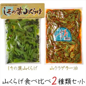 山くらげ食べ比べ2種類セット しその葉山くらげ220g 山クラゲラー油 220g献上菜 食べるラー油 紫蘇の葉 山菜 食べる辣油 惣