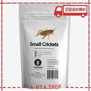 [昆虫食] ヨーロッパイエコオロギ small crickets 15g tiu0004