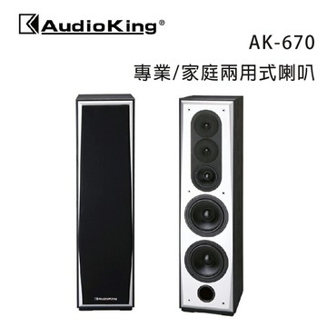 【澄名影音展場】AudioKing 台灣撼聲 AK-670 專業/家庭兩用式喇叭/對