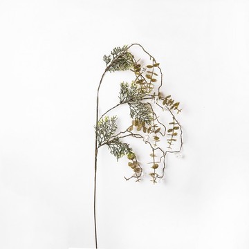 Golden Eucalyptus Branch